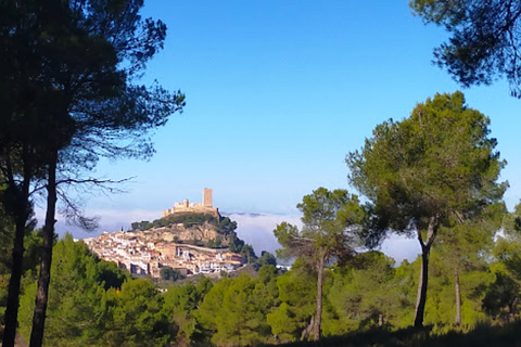 Gårdshus i Biar, Alicante, Biar - € 299 000 | Ref: FCA.02BIAR - foto 24